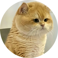 Banner Thumb